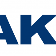 碧琪邦盛食品原料（廣東）有限公司